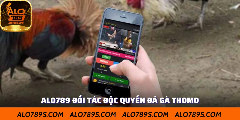Đối tác độc quyền của đá gà Thomo