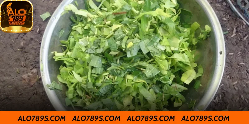 Bổ sung rau xanh vào chế độ ăn